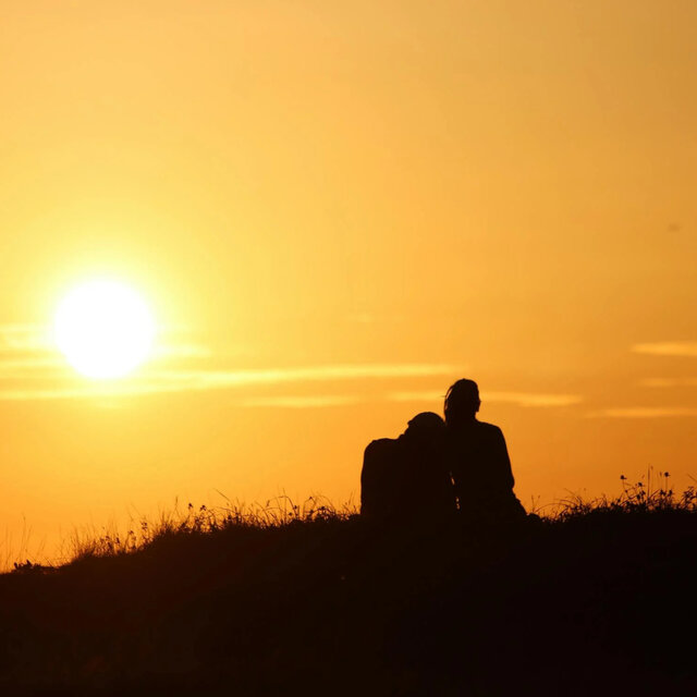 Golden Love