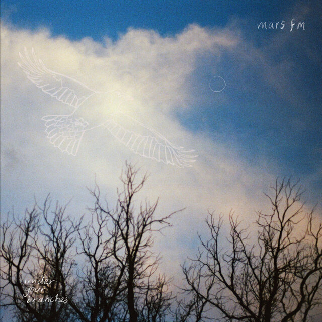 Under Your Branches