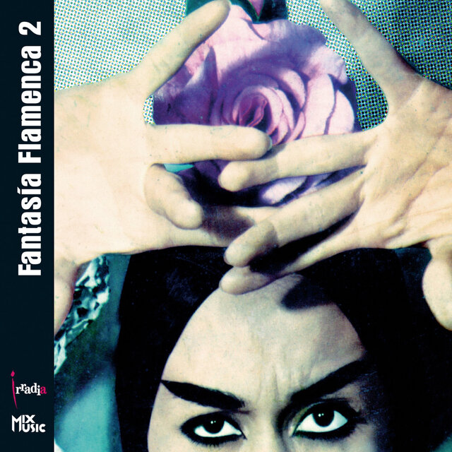 FantasÍa Flamenca 2