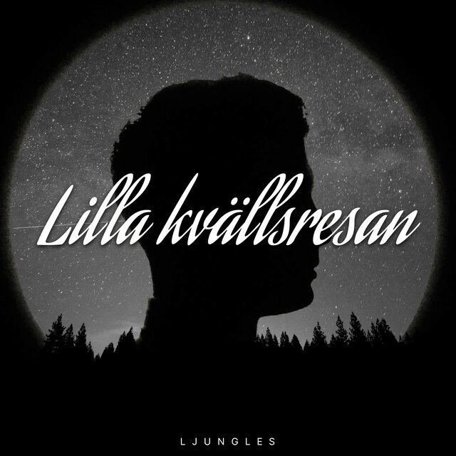 Lilla kvällsresan