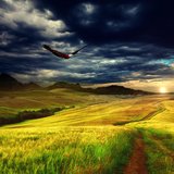 Distant Dream