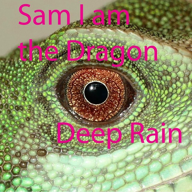 Sam I Am the Dragon