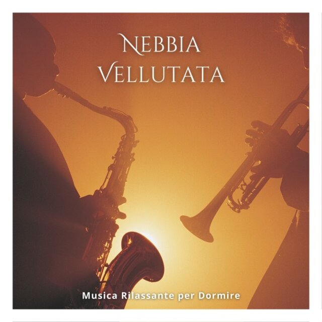 Nebbia Vellutata: Playlist del Sonno