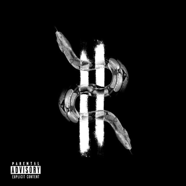 2 Headed Snakes