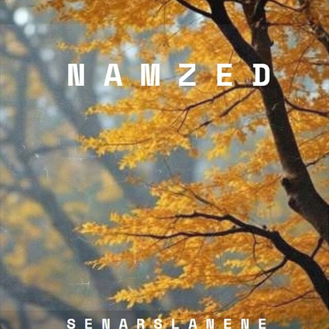 Namzed