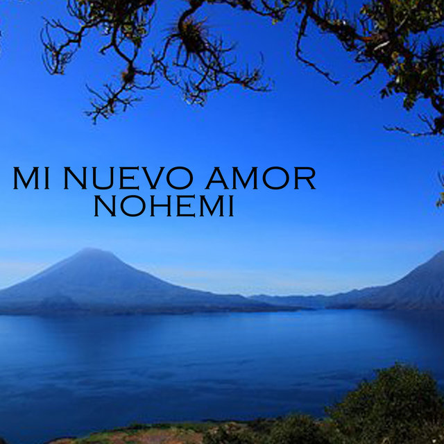MI NUEVO AMOR