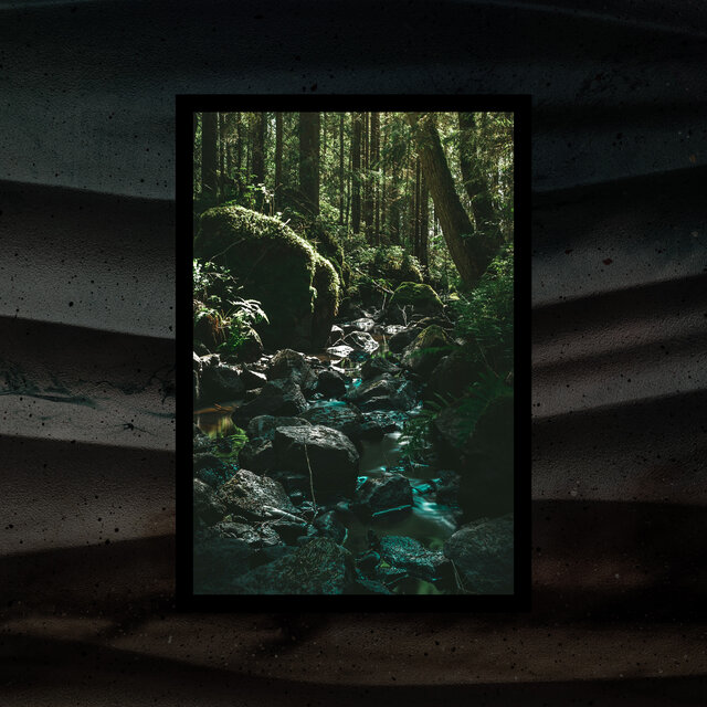 Forestscapes