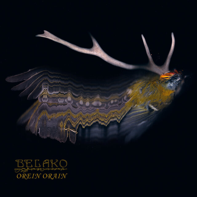 Orein Orain
