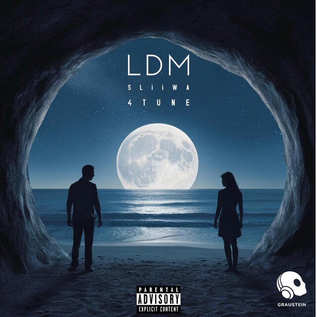 LDM
