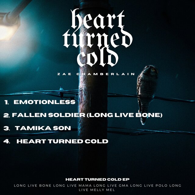 Heart Turned Cold