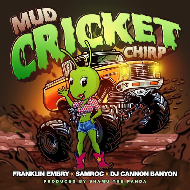Mud Cricket Chirp 