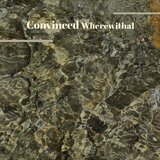Convinced Wherewithal