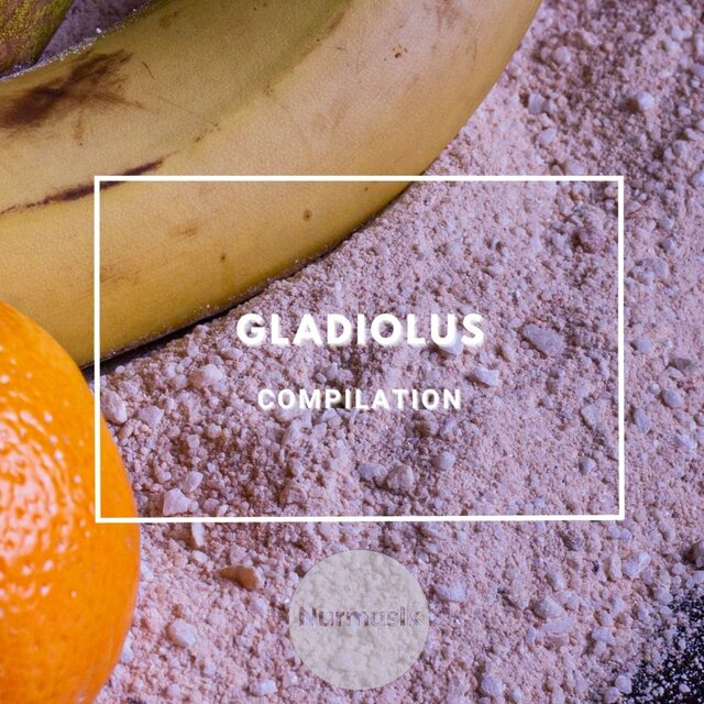 Gladiolus