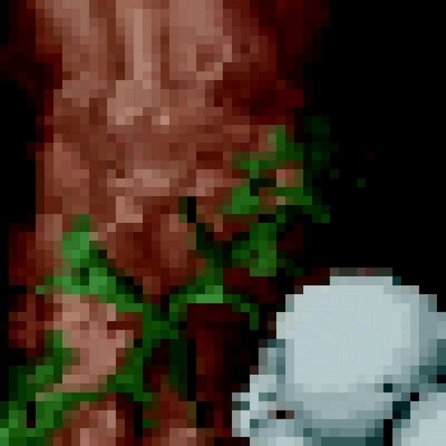 Forestal Foreteller - The Spectrum Versions