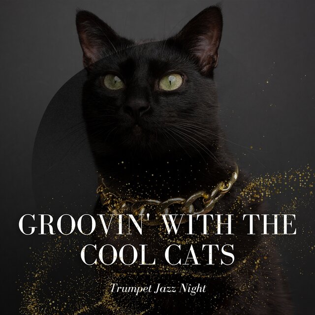 Groovin' with the Cool Cats