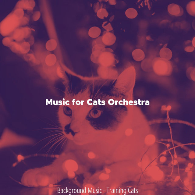 Background Music - Training Cats