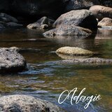 Songbook (Excerpts Arr. for Voice, Guitar & Percussion): La musica