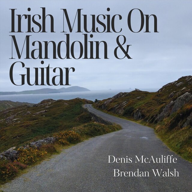 Irish Music On Mandolin And Guitar