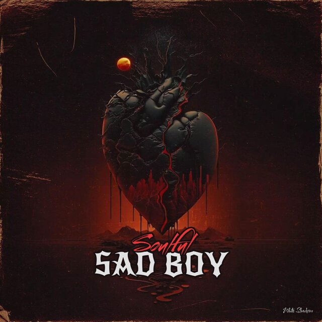 Soulful Sad Boy