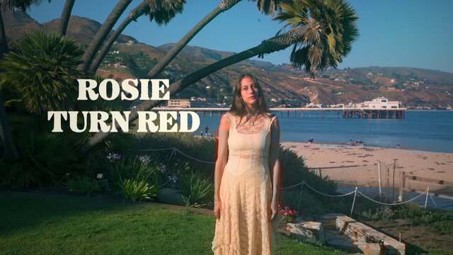 Turn Red (Lyric Video)