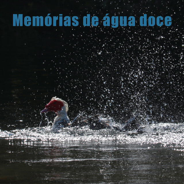 Memórias de Água Doce