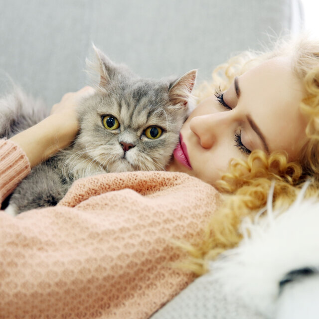 Calm Companions in Blush: A Pink Noise Sanctuary for Contented Pets