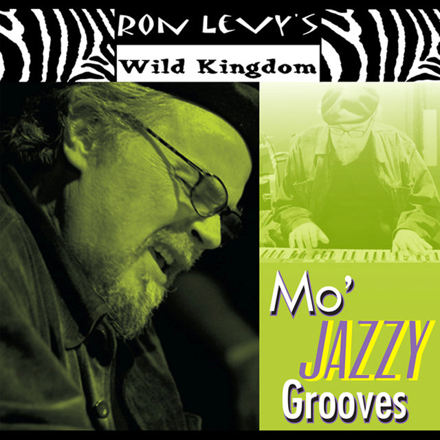 Mo' Jazzy Grooves