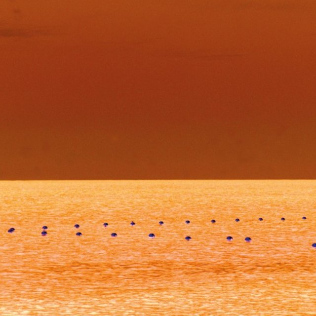 Minimal Art, Vol. 2
