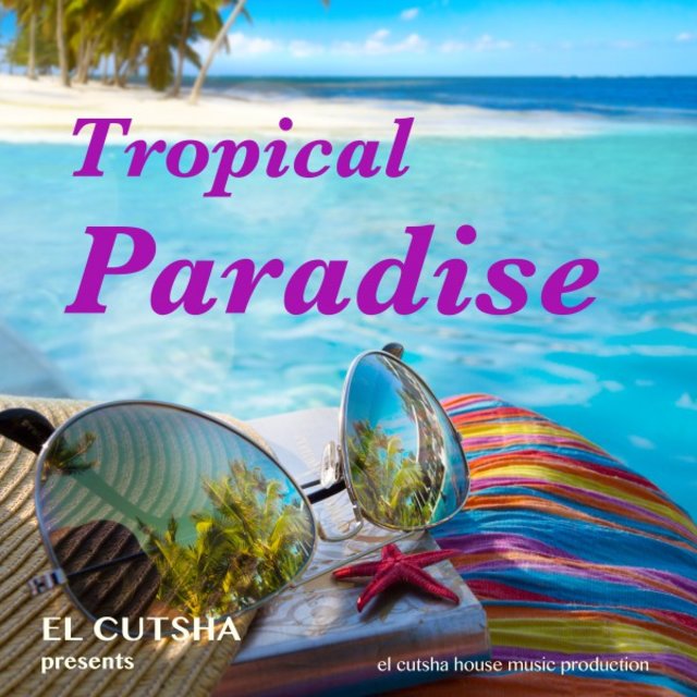 Tropical Paradise