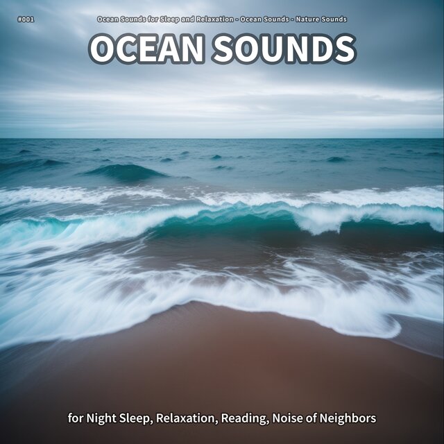 #001 Ocean Sounds for Night Sleep, Relaxation, Reading, Noise of Neighbors
