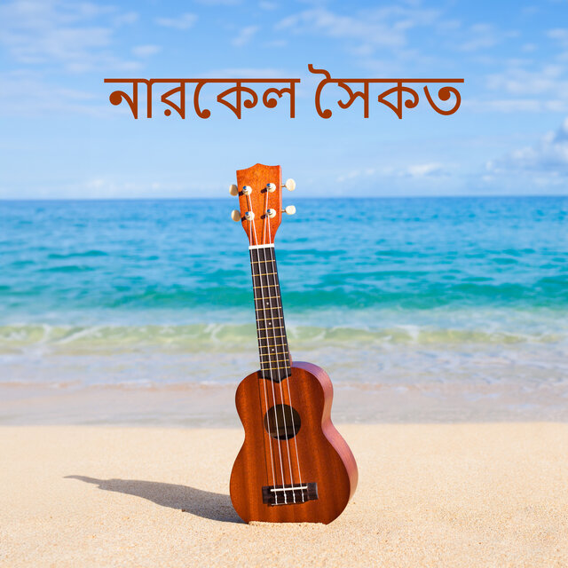নারকেল সৈকত: ঘুমের জন্য আরামদায়ক হাওয়াইয়ান সঙ্গীত
