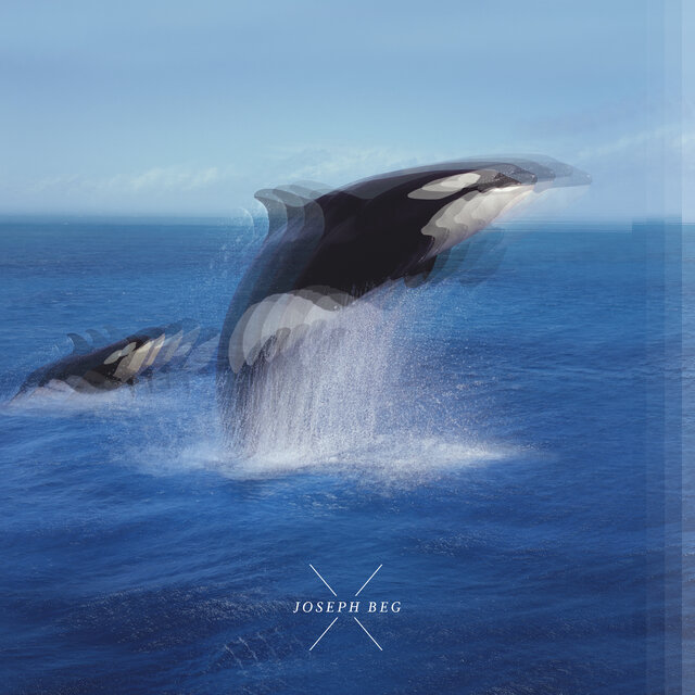 Orca Matriarch