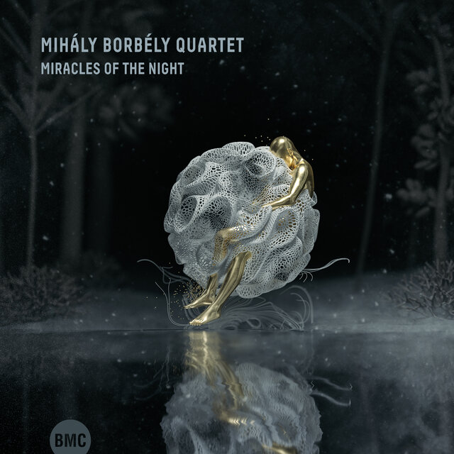 Miracles of the Night