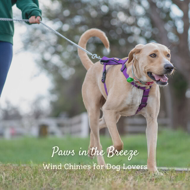Paws in the Breeze: Wind Chimes for Dog Lovers