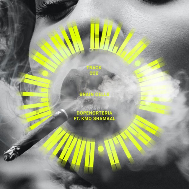 Brain Cells (feat. KMO Shamaal)
