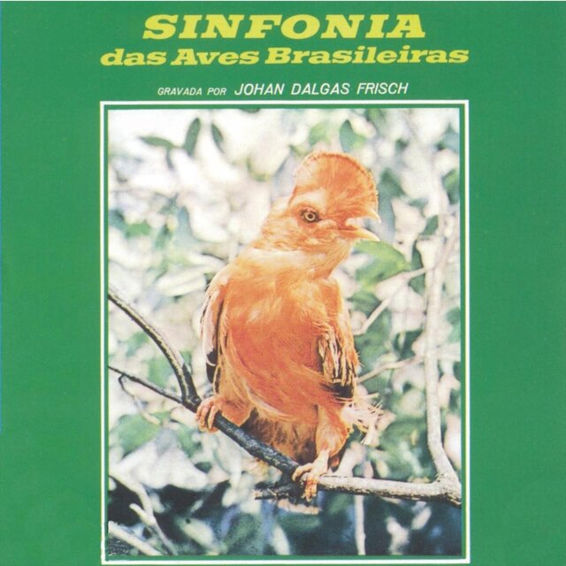 Sinfonia Das Aves Brasileiras
