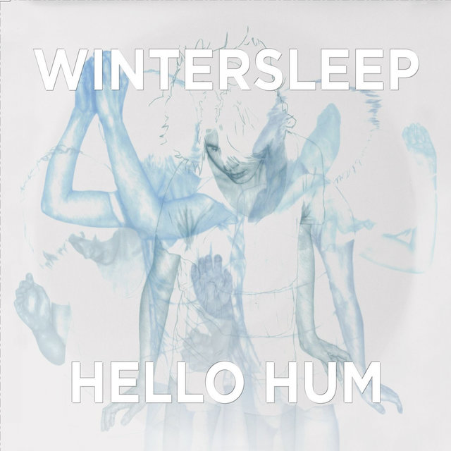 Hello Hum
