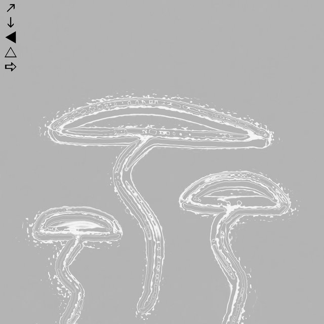 Mushroom Sonata