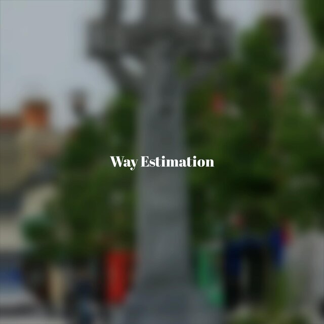 Way Estimation