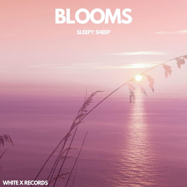 BLOOMS