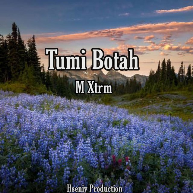 TUMI BOTAH