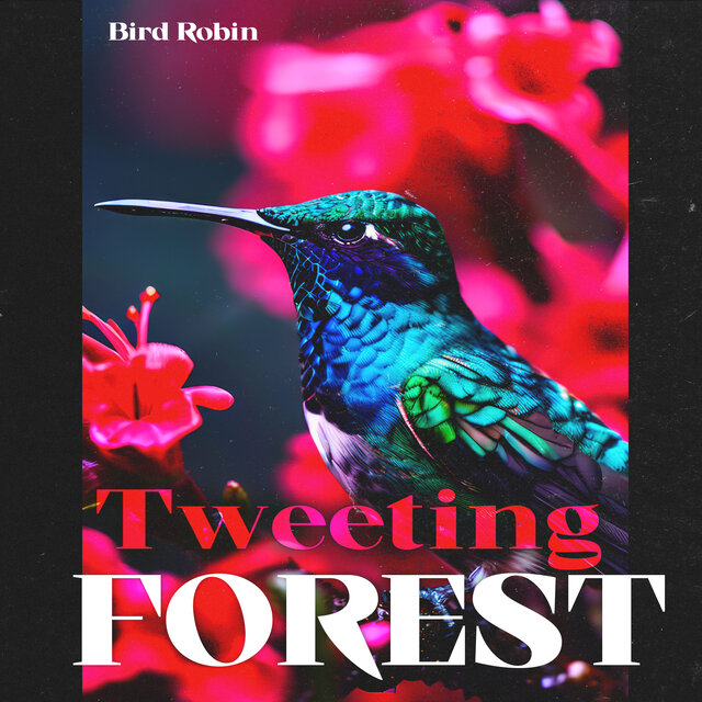 Tweeting Forest