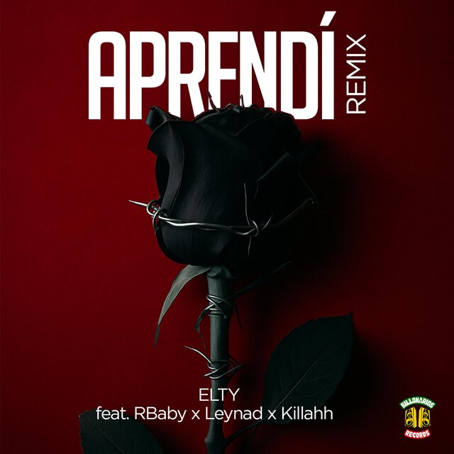 Aprendí (feat. RBaby, Leynad & Killahh) [Remix]