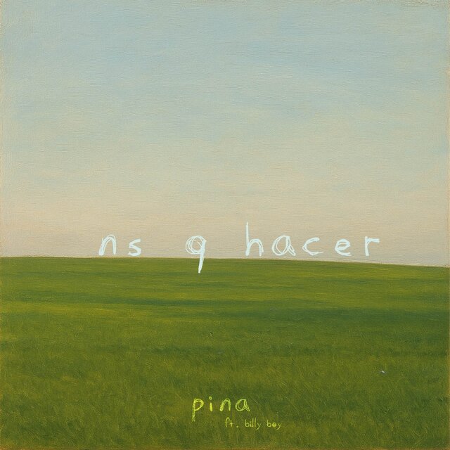 ns q hacer