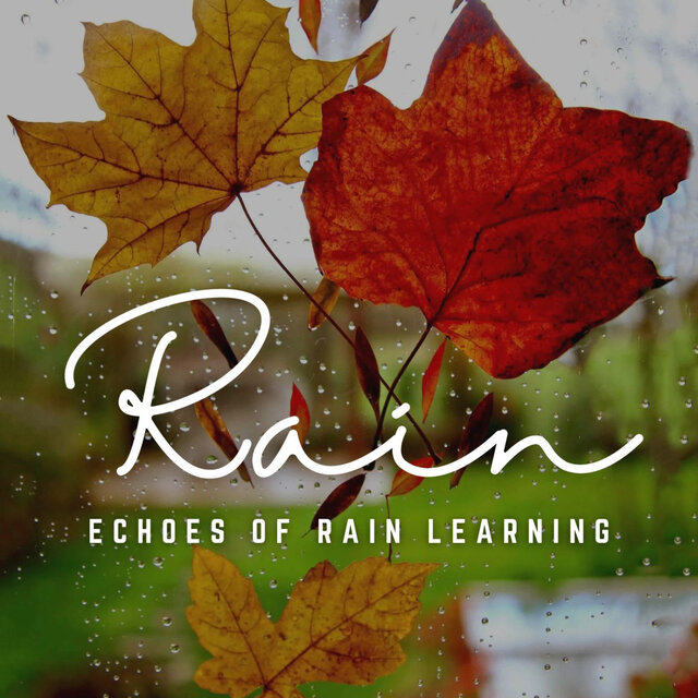 Rhythms of Rain: Study Soundscapes