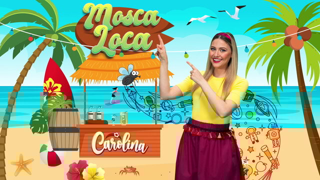 Medley: Sigla Babydance / Mosca Loca