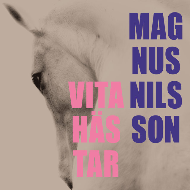 Vita Hästar