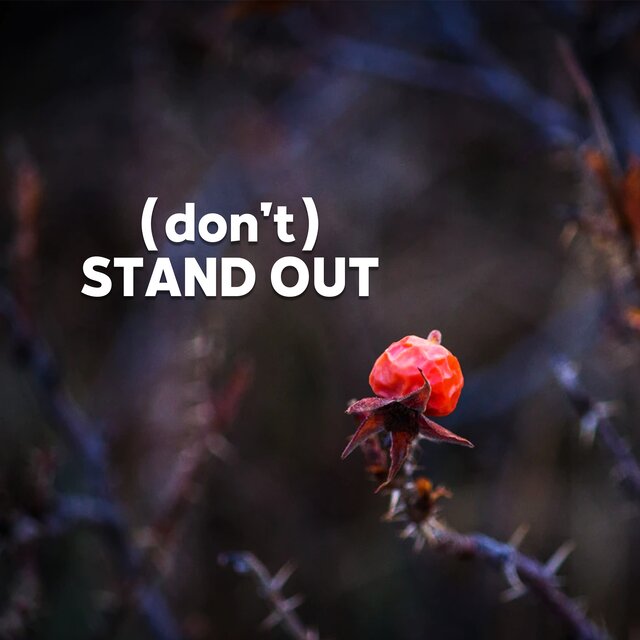 (don't) STAND OUT