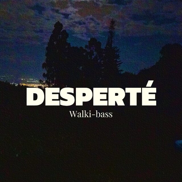 Desperté
