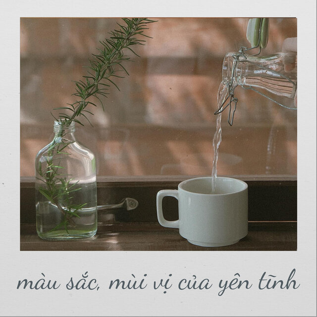 Màu Sắc, Mùi Vị Của Yên Tĩnh